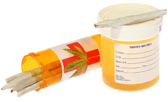 Hiding Synthetic Urine Carbonado WA 98323